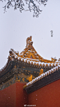 满屏都是大雪，心痒痒的掏了掏去年明孝陵的存粮。
人在家中坐，图从米缸来。 ​​​​