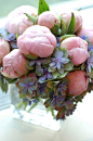 peonies and hydrangea.: 