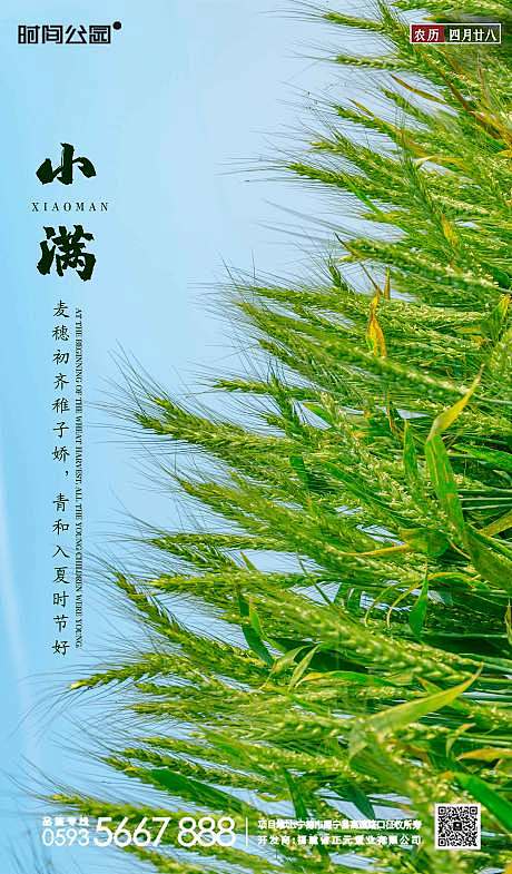 【源文件下载】 海报 房地产 二十四节气...