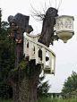 Gothic treehouse