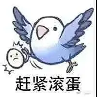 【表情包】发点色禽图片（70张）
