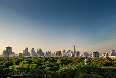 山中狼采集到城市