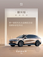 其中包括图片：