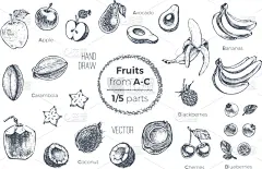 水果,草图,有机食品,动物手,符号,墨水,菜单,部分,绘制,布置