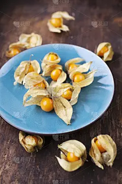 酸浆属,垂直画幅,印加人文明,樱桃,无人,生食,维生素,异国情调,干的,美洲