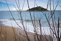 沙子,海滩,风景,圣塞瓦斯蒂安,岛,西班牙,枝,自然美,圣塔克莱拉县,水