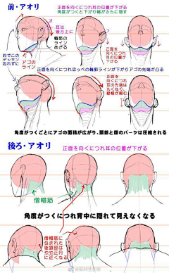 钩钩人采集到汪汪汪