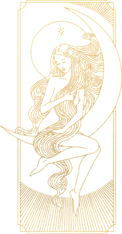 神秘塔罗牌十二星座黄道十二宫金色线条线稿PNG免扣插画元素(12)