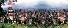 蚂蚁图库采集到河南少林寺