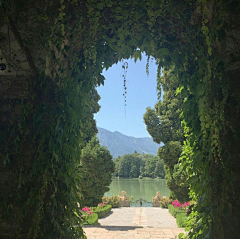 街边扫地的大爷采集到场景-植物