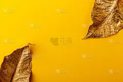 创意的布局由金色的叶子与黄色的纸卡片纸条。金黄色的叶子在黄色的背景上。