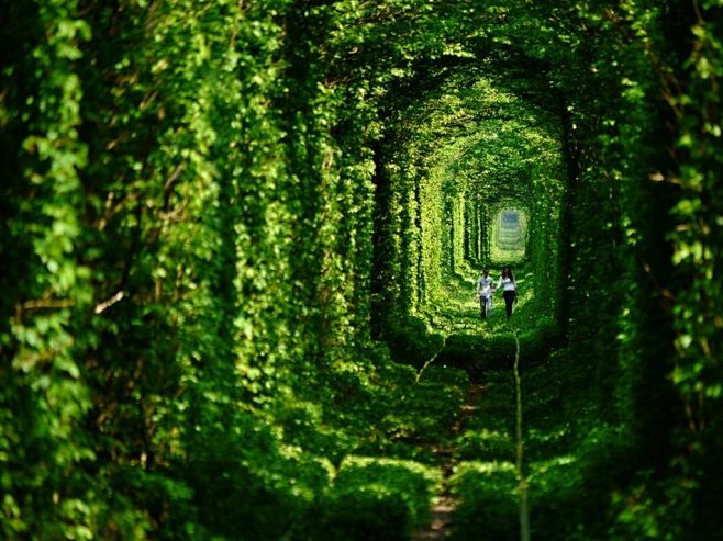 乌克兰“爱的隧道”。