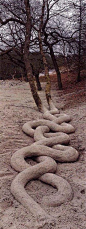 【英国艺术家Andy Goldsworthy艺术作品 欣赏】
安迪.高兹沃斯 (Andy Goldsworthy)，1957年出生于英国。他在自然中寻找天然的艺术原料，运用花、冰、叶、松果、雪、石头、树枝、刺等元素进行创作，制作出自然的“雕塑”。