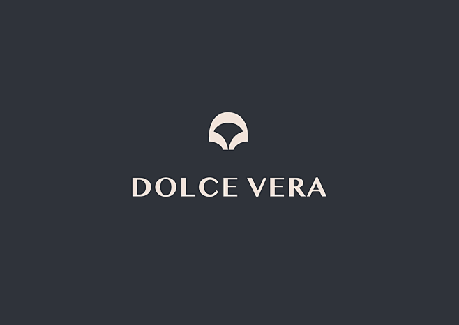 DOCLE VERA logo desi...