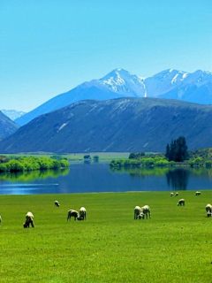 阳光正好啦啦啦采集到Lonelyland-NewZealand