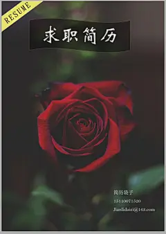 简历封面【简历袋子】#简历# #简历封面# #平面# #简洁# #扁平# #好看# #排版#