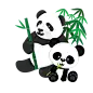 熊猫