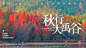 户外活动banner