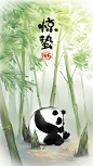熊猫滚阿滚的二十四节气 @阿尨along  插画 gif 原创 惊蛰
