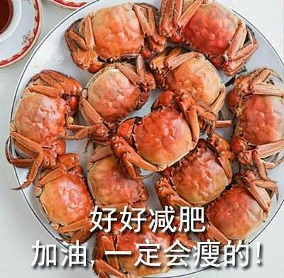 美食减肥表情包