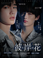 素材江软枳
◎白葵呐制作
［彼岸花］授权