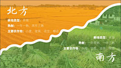zhangqq040225采集到农业