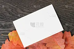 复古色调的秋天橡树叶背景与纸卡