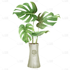 人间至味是清欢啊采集到植物花卉设计元素