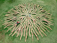 A System of Root-Like Benches Spreads Organically Through a South Korean Public Park : Root Bench is a multi-height bench system installed in Hangang Park in Seoul, South Korea. The design is a winning proposal by Yong Ju Lee, which creates a circular pro