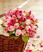 Basket of Fresh Cut Roses