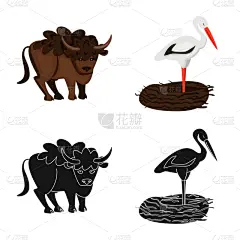 传统,品牌名称,国内著名景点,波兰,野生动物,鹳,翅膀,动物,鸟类,探险