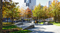 DSC03177.JPG