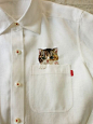 衬衣里的小猫