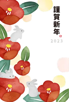 23295457