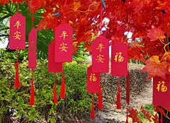 母亲节心愿卡签许愿卡吊卡树挂树祈福卡贺卡挂件创意diy祝福手工-淘宝网