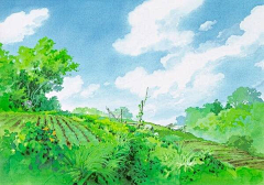 薇*一世繁华采集到手绘、插画