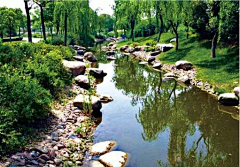 多闻草木少识人采集到驳岸