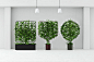 botanical_planter_00