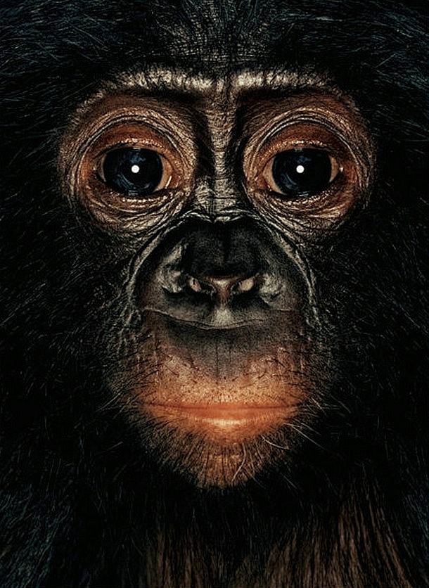 James和猩猩們 - 人文摄影 - C...