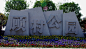 635857079690106145顾村公园1