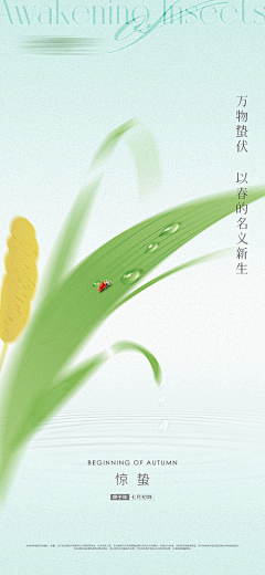 小虾米粒采集到海报idea