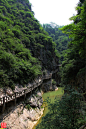 青山翠林——成州西峡成州西峡位于甘肃成县天井山，以东汉摩崖石刻《西狭颂》闻名于世