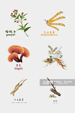 灵芝彩绘草本植物免抠素材素材