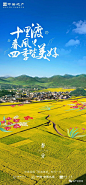 「合集」地产春分海报文案，来了！