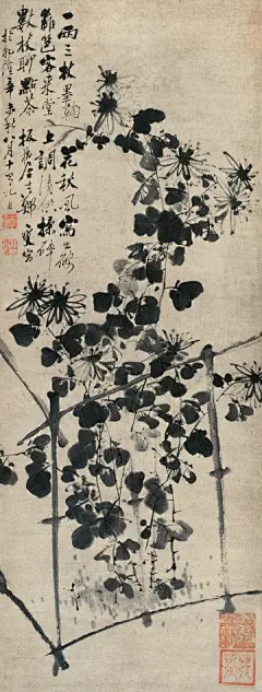 大师笔下美丽的菊花！