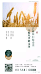 【作品】二十四节气之芒种——地产广告