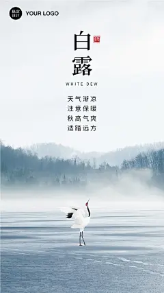 企业白露节气海报