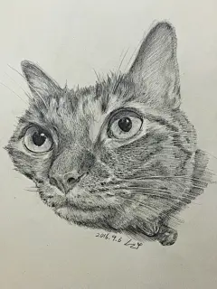 素描栗子第三弹 学霸栗子和学渣栗子 #素描# #壁纸#