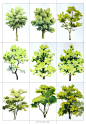 植物原画树原画来自cgbook.cn (726)