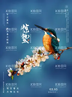 惊蛰节气刷屏  - 源文件下载【酷图网】惊蛰节气,惊蛰,节气,插画,海报,春分,春天,立春,二十四节气,惊蛰小报,节气插画,玉兰花,中国风,